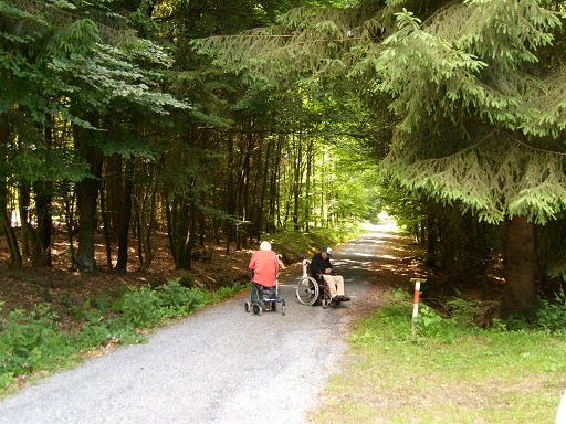 Herr Tolba und Frau Caldr auf dem Waldweg bei der Wanderung mit dem Förster durch den Wald