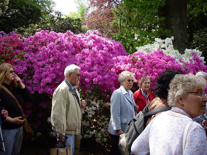 Unsere Mitglieder besuchen das Rhododendron-Tal im Gruga-Park